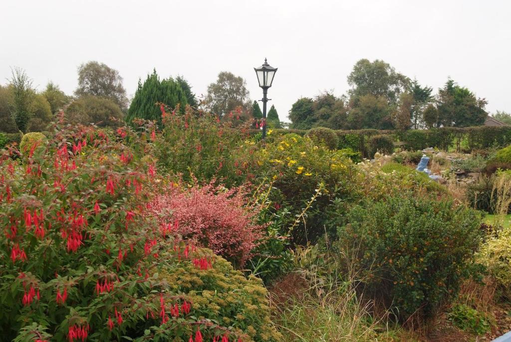 Gormans Country Home Killarney Luaran gambar